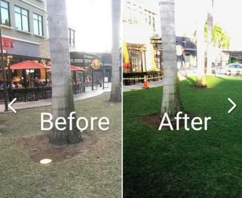 Custom lawn care service in Modesto, CA - Nu Image Custom Lawn and Mulch Painting