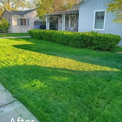 Nu Image Custom Lawn and Mulch Painting Logo