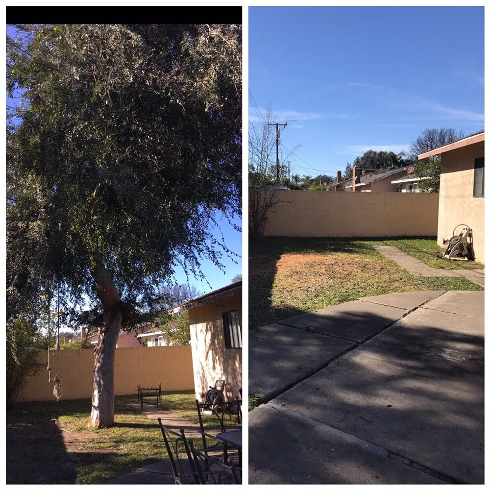 Top-rated outdoor landscaping experts serving Orange, CA - Nu Image Landscaping