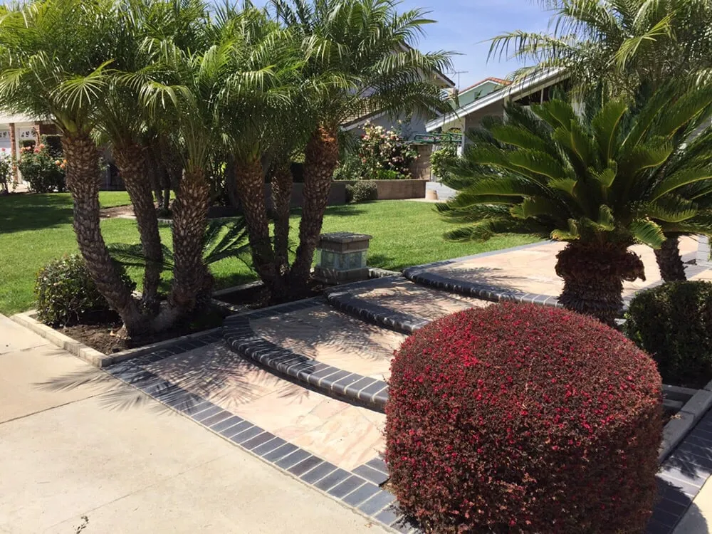 Top-rated lawn mowing service for year-round maintenance across Orange, CA - Nu Image Landscaping