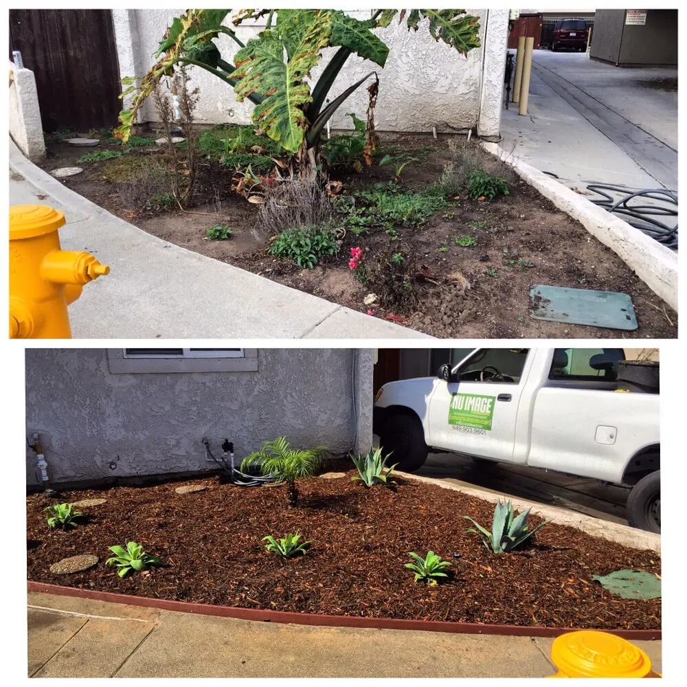 Top-rated garden landscaping experts serving Orange, CA - Nu Image Landscaping