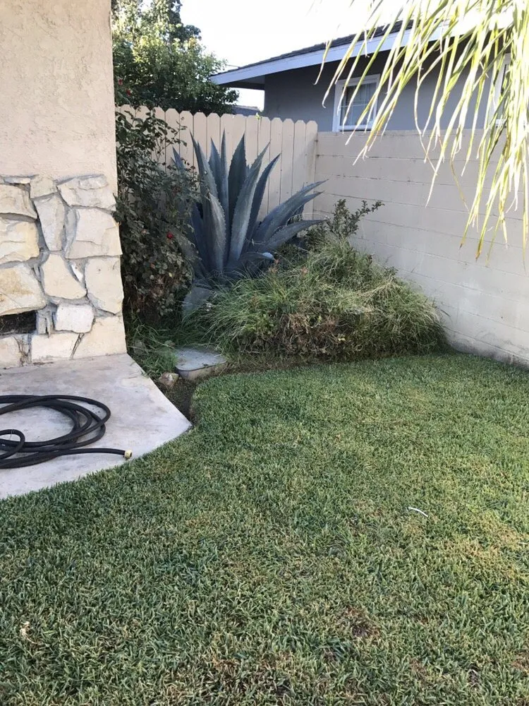 Professional lawn mowing service experts serving Orange, CA - Nu Image Landscaping
