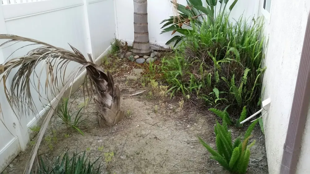 Custom yard maintenance in Orange, CA - Nu Image Landscaping