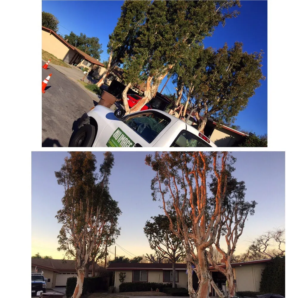 Professional outdoor landscaping for homes in Orange, CA by Nu Image Landscaping