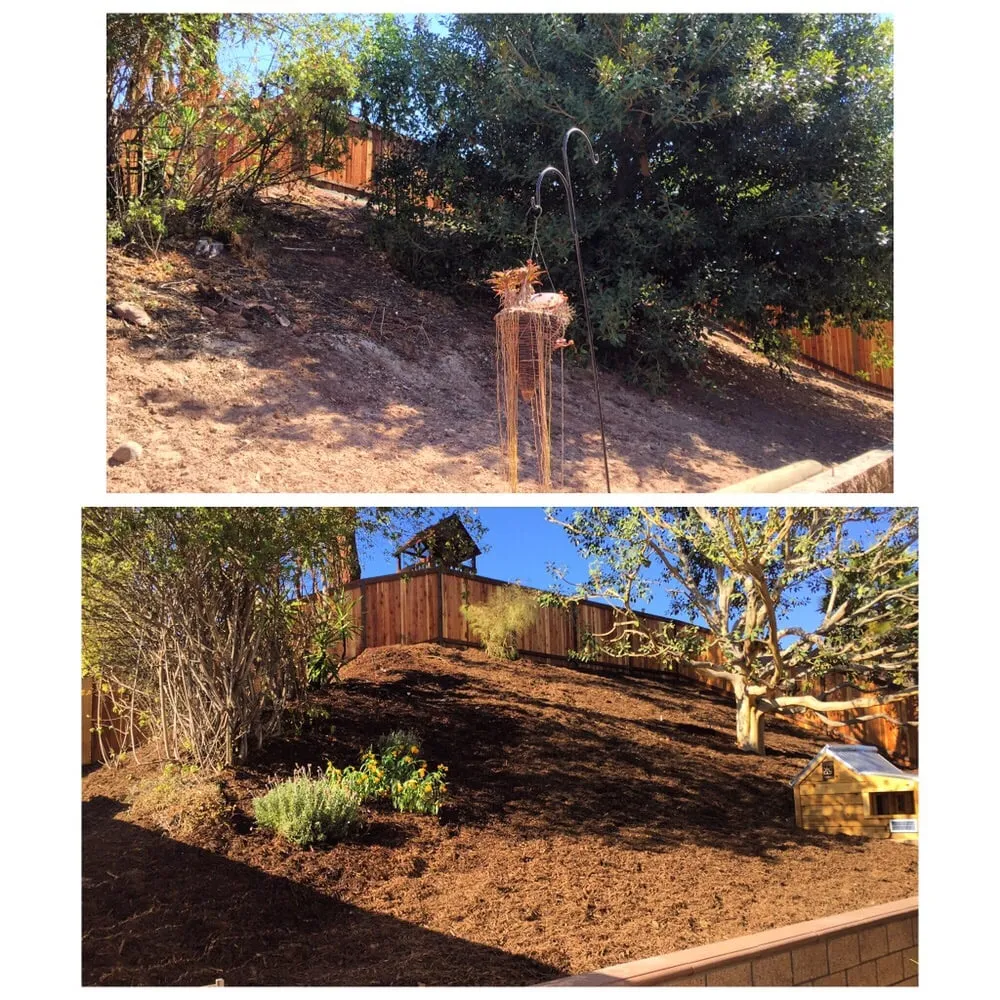 Reliable yard maintenance in Orange, CA - Nu Image Landscaping
