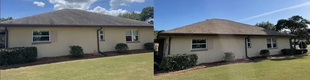 Top-rated landscape design in Tampa, FL by NU Image Property Solutions