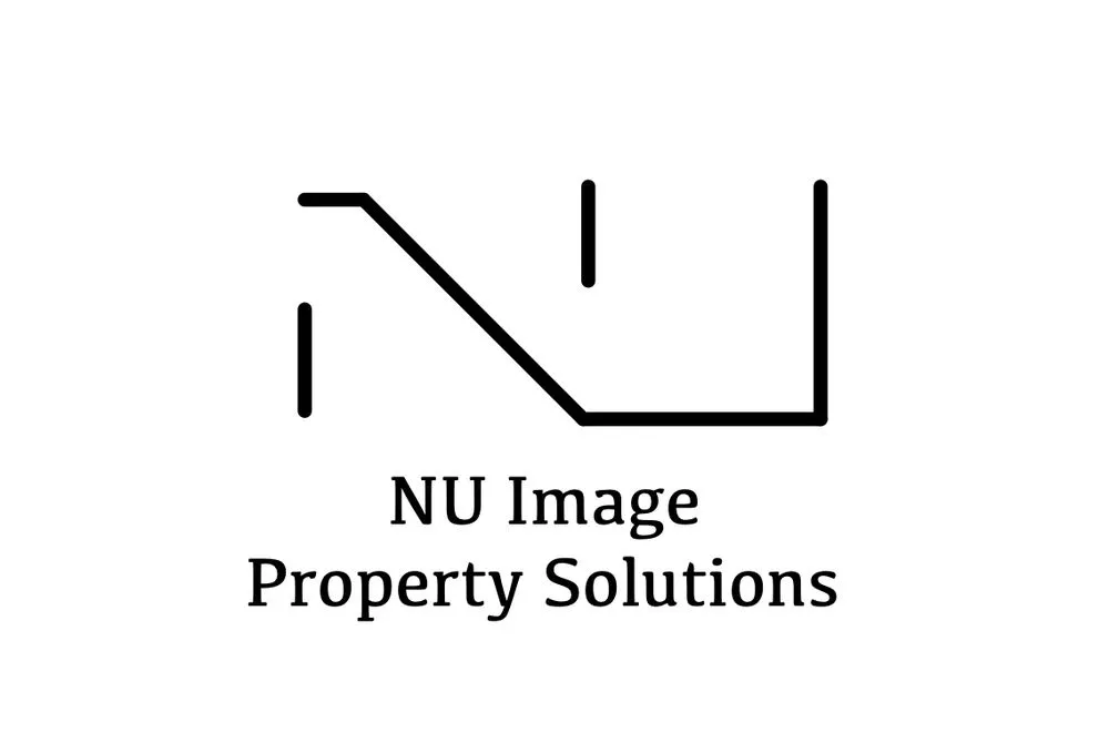 Top-rated yard cleanup service experts serving Tampa, FL - NU Image Property Solutions