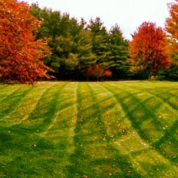 Trusted landscape design in Stillwater, MN by Nu Life Lawn Care & Snow Removal