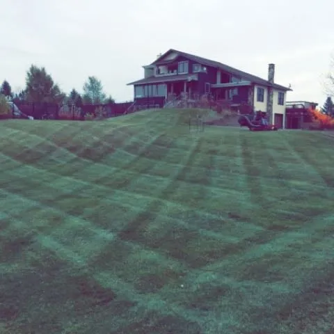 Trusted lawn care service in Saint Paul, MN - Nu-Life