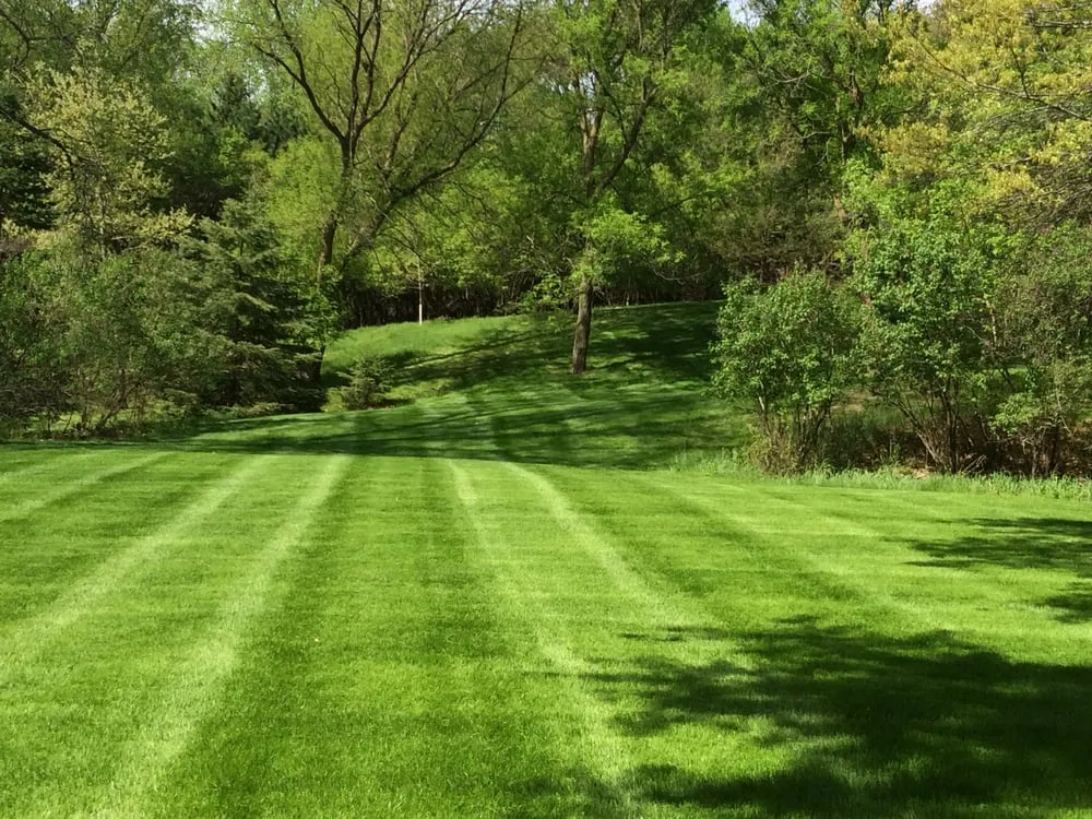 Affordable yard maintenance in Saint Paul, MN by Nu-Life