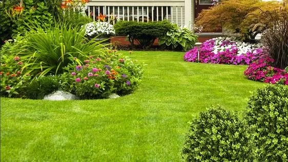 Top-rated yard cleanup service for homes across Richmond, VA - Nu Look Landscape Service