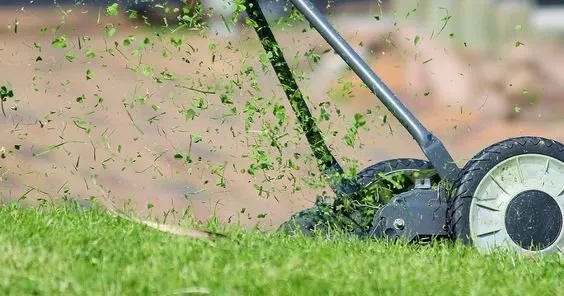 Professional yard maintenance in Richmond, VA by Nu Look Landscape Service