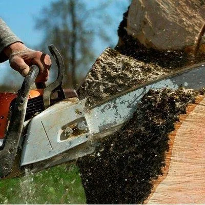 Nu Look Landscape Service Logo