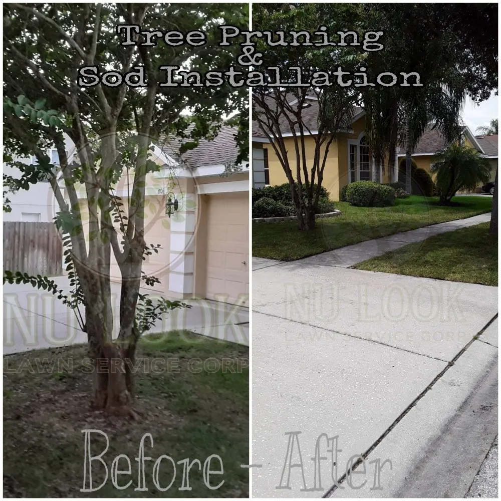 Custom outdoor landscaping in Tampa, FL - Nu Look Lawn Service Corp.