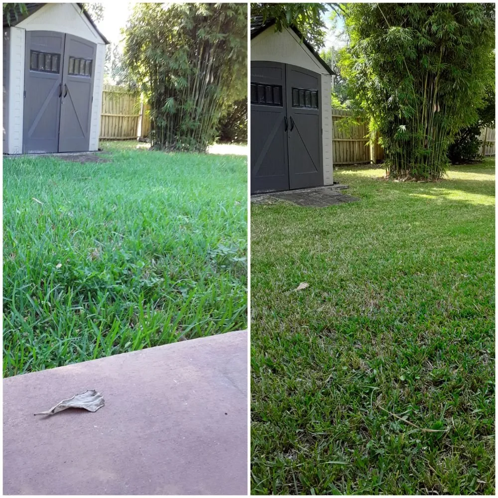 Trusted landscaping services for residential properties in Tampa, FL by Nu Look Lawn Service Corp.