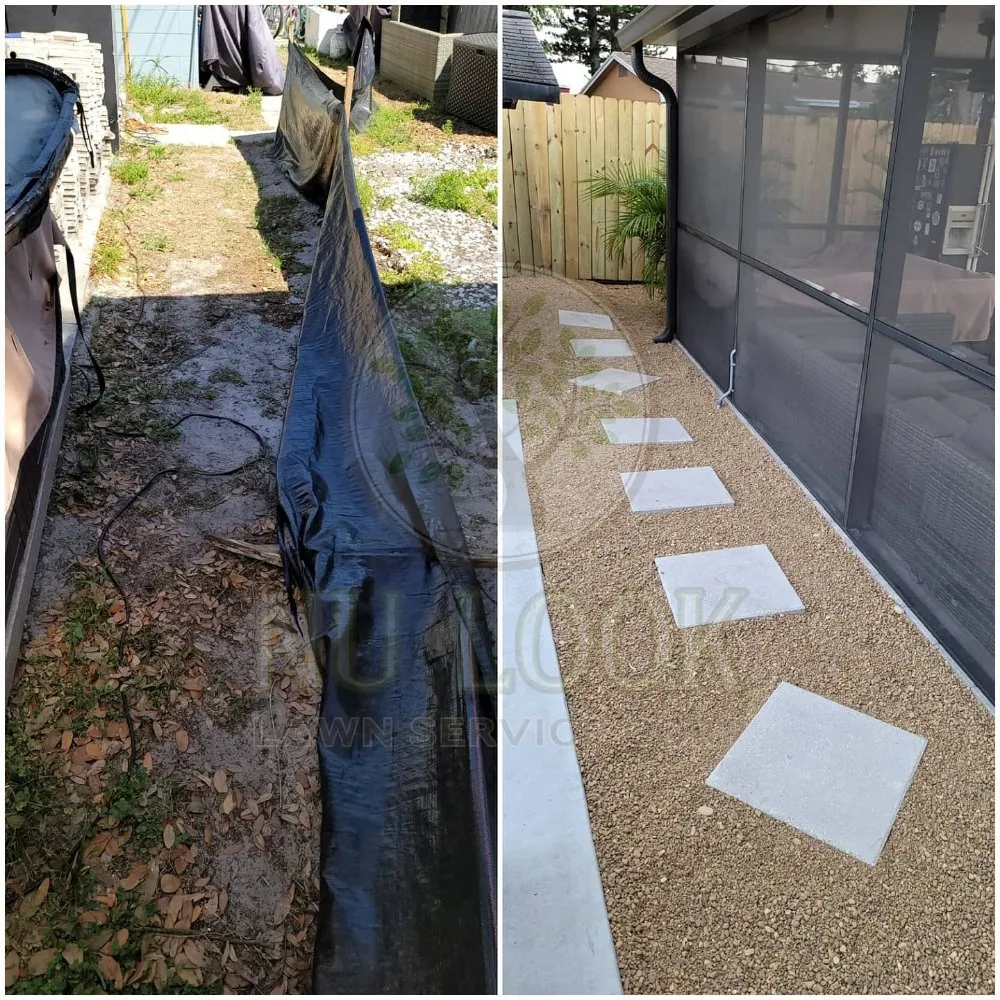 Local yard cleanup service in Tampa, FL by Nu Look Lawn Service Corp.