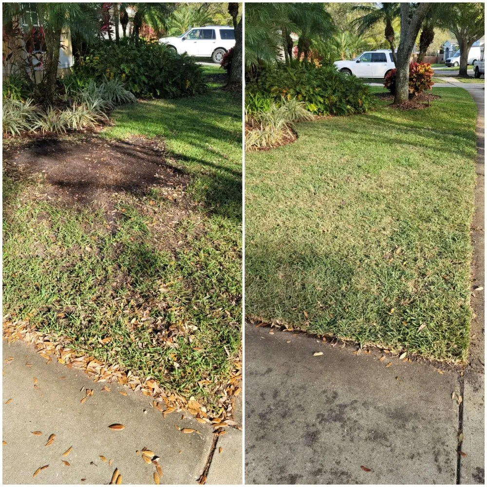 Trusted landscaping services experts serving Tampa, FL - Nu Look Lawn Service Corp.