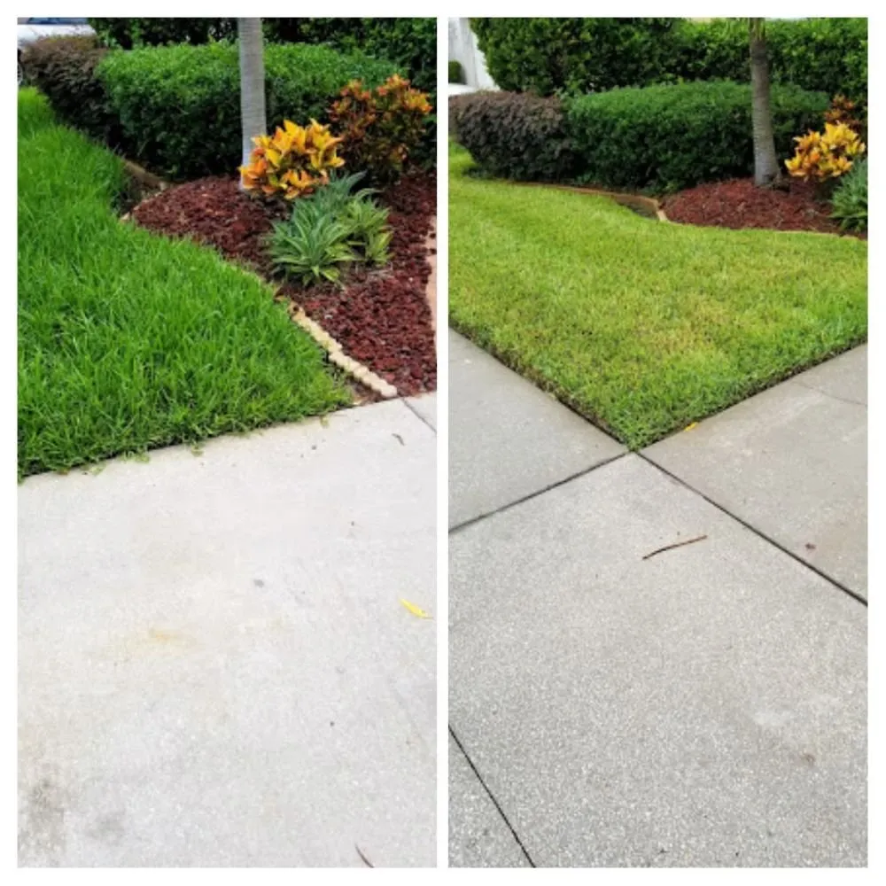 Top-rated yard maintenance in Tampa, FL - Nu Look Lawn Service Corp.