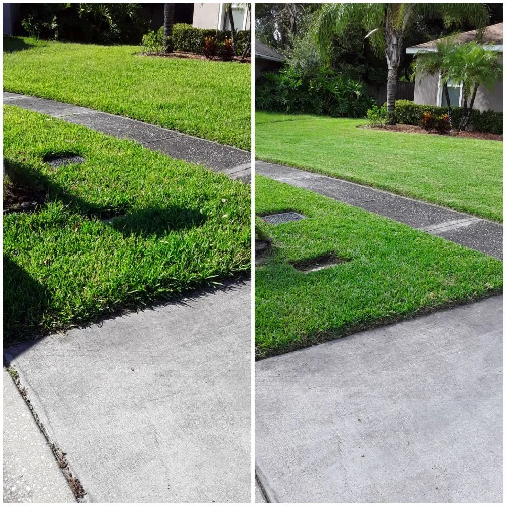 Top-rated lawn care service experts serving Tampa, FL - Nu Look Lawn Service Corp.