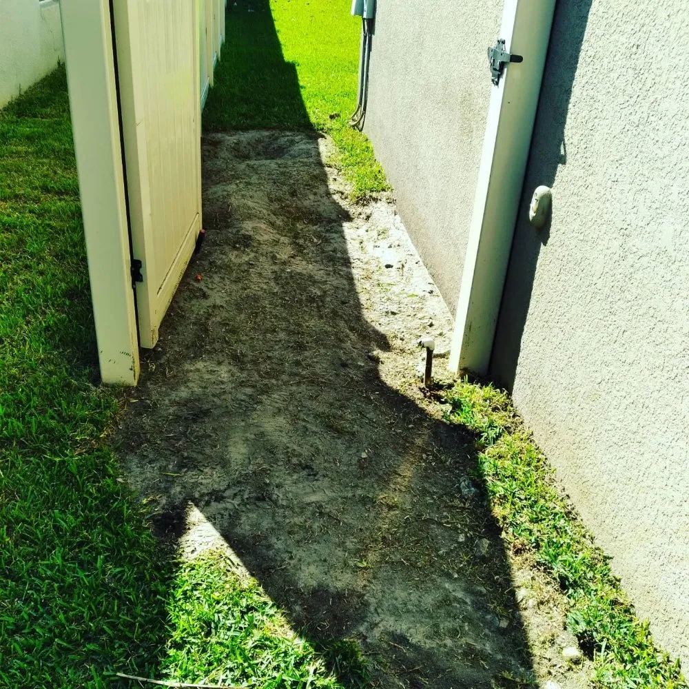 Trusted residential landscaping in Tampa, FL by Nu Look Lawn Service Corp.