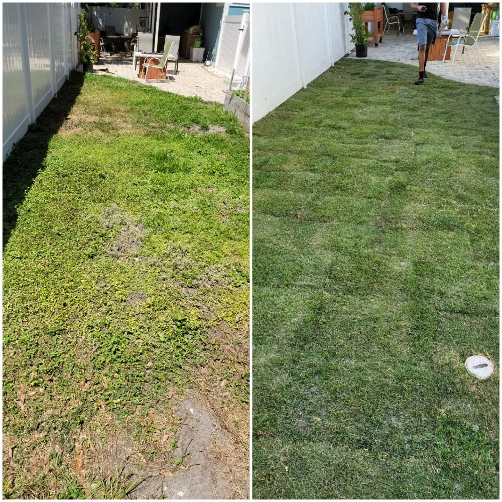 Professional lawn care service experts serving Tampa, FL - Nu Look Lawn Service Corp.