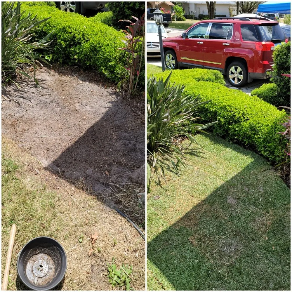 Affordable landscape installation in Tampa, FL - Nu Look Lawn Service Corp.
