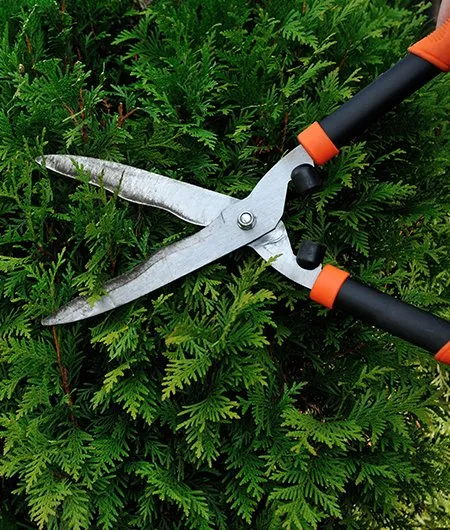 Trusted landscape design in Tampa, FL - Nu Look Lawn Service Corp.