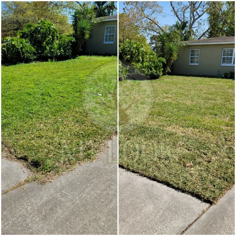 Professional yard maintenance experts serving Tampa, FL - Nu Look Lawn Service Corp.