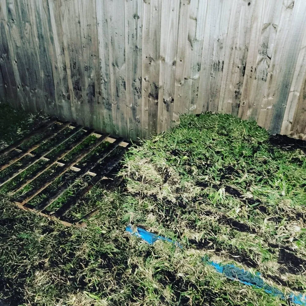 Top-rated yard maintenance for beautiful yards in Tampa, FL by Nu Look Lawn Service Corp.