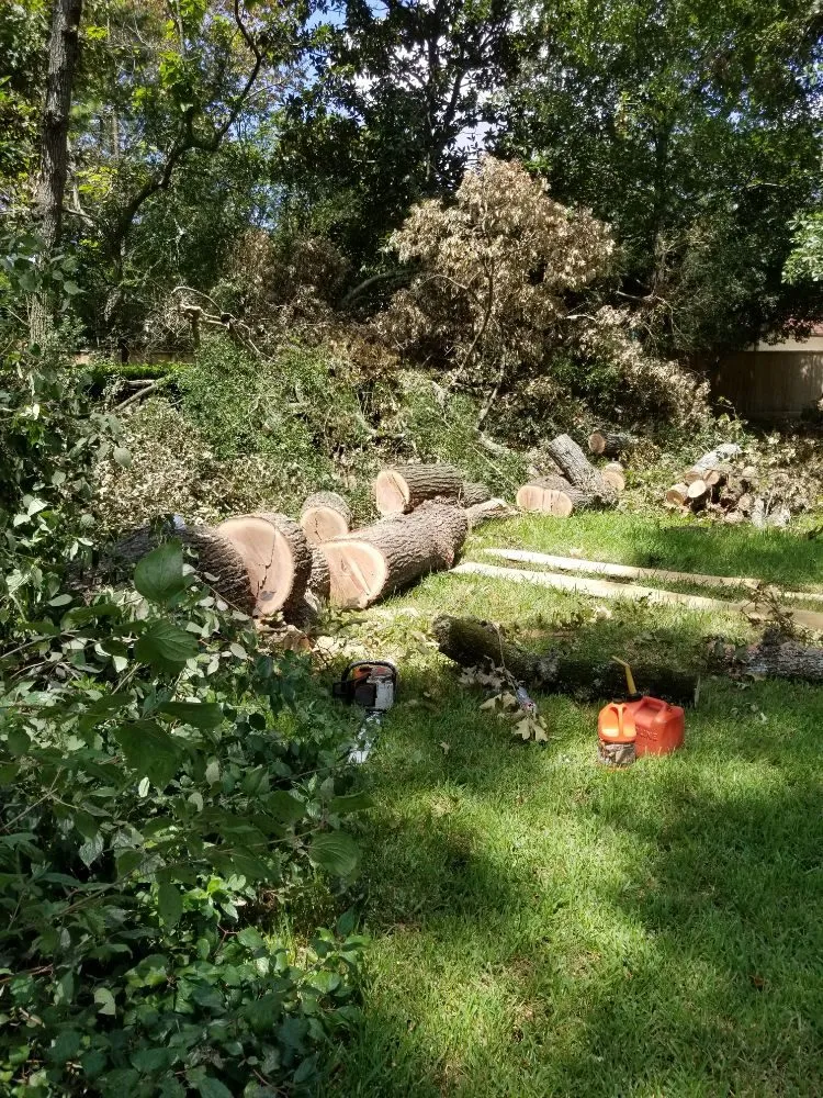 Top-rated yard cleanup service with custom design in Houston, TX by Nu Roots Tree Services