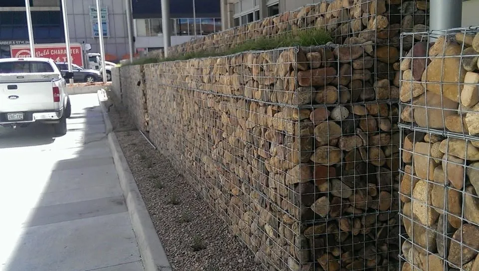 Local yard maintenance experts serving Denver, CO - NU Style Landscape & Development