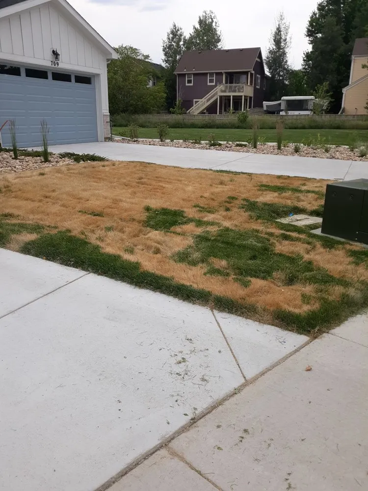 Trusted landscape installation experts serving Denver, CO - NU Style Landscape & Development