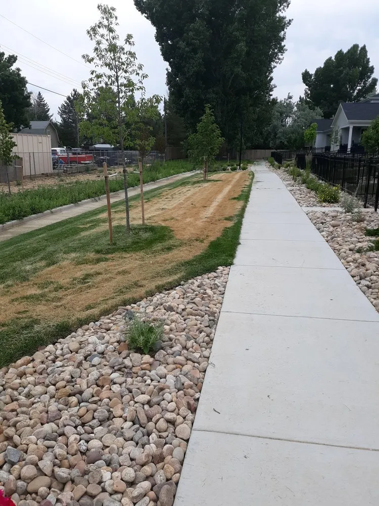 Professional yard maintenance in Denver, CO - NU Style Landscape & Development