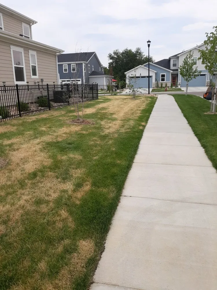 Reliable lawn mowing service in Denver, CO - NU Style Landscape & Development