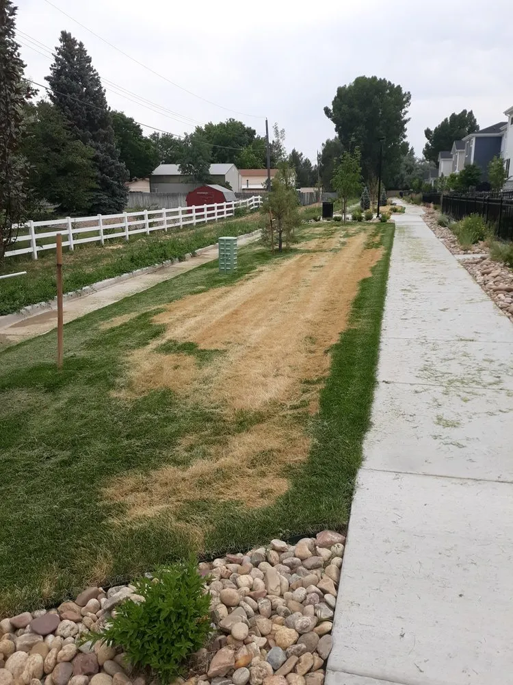 Top-rated yard maintenance in Denver, CO by NU Style Landscape & Development
