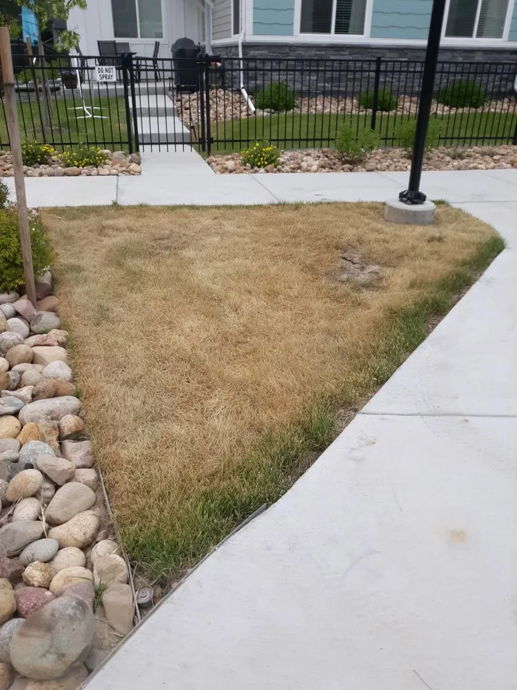 Top-rated landscaping services near you across Denver, CO - NU Style Landscape & Development