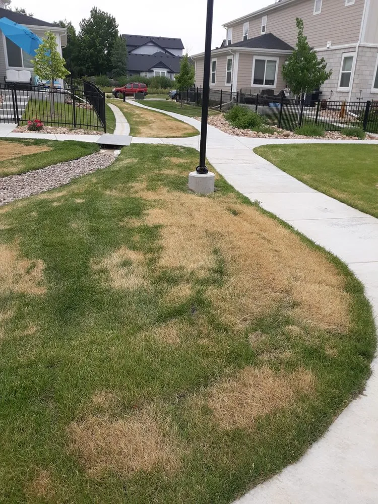 Custom landscape installation experts serving Denver, CO - NU Style Landscape & Development