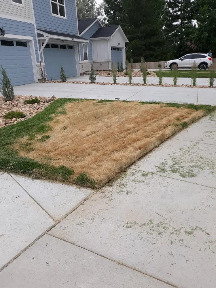 Custom yard maintenance for homes across Denver, CO - NU Style Landscape & Development