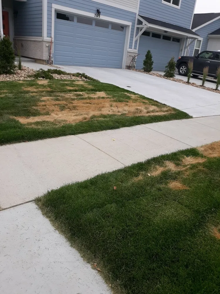 Local outdoor landscaping for year-round maintenance across Denver, CO - NU Style Landscape & Development