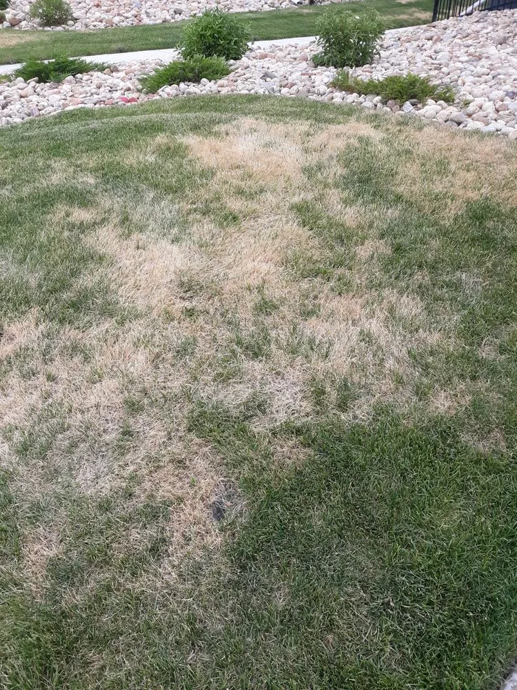 Affordable lawn mowing service in Denver, CO - NU Style Landscape & Development