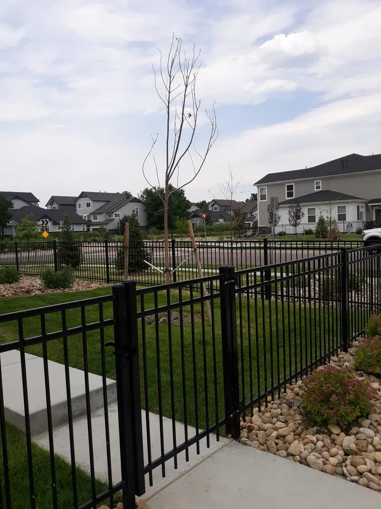 Top-rated landscape design experts serving Denver, CO - NU Style Landscape & Development