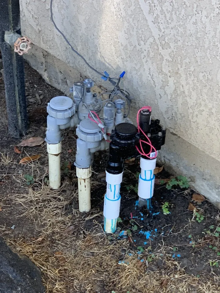 Local yard maintenance near you in Tulare, CA by Nu Turf Landscaping