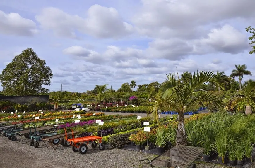 Reliable landscape installation for year-round maintenance in Pompano Beach, FL by Nu Turf of Pompano Beach