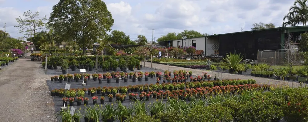 Professional landscape design experts serving Pompano Beach, FL - Nu Turf of Pompano Beach