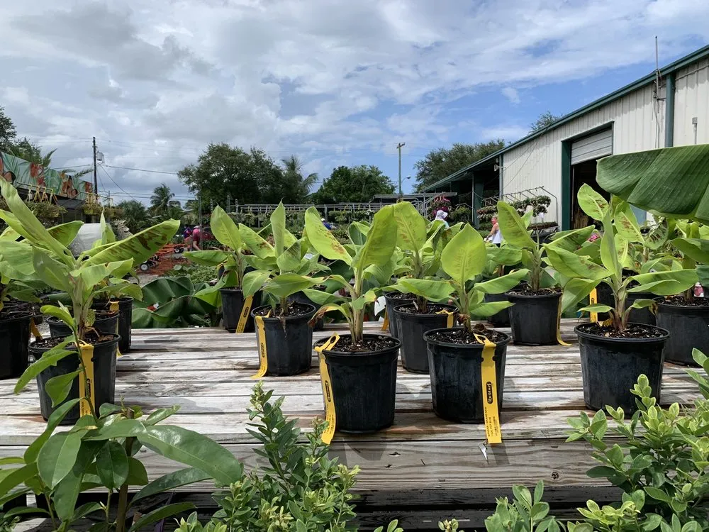 Expert garden landscaping experts serving Pompano Beach, FL - Nu Turf of Pompano Beach