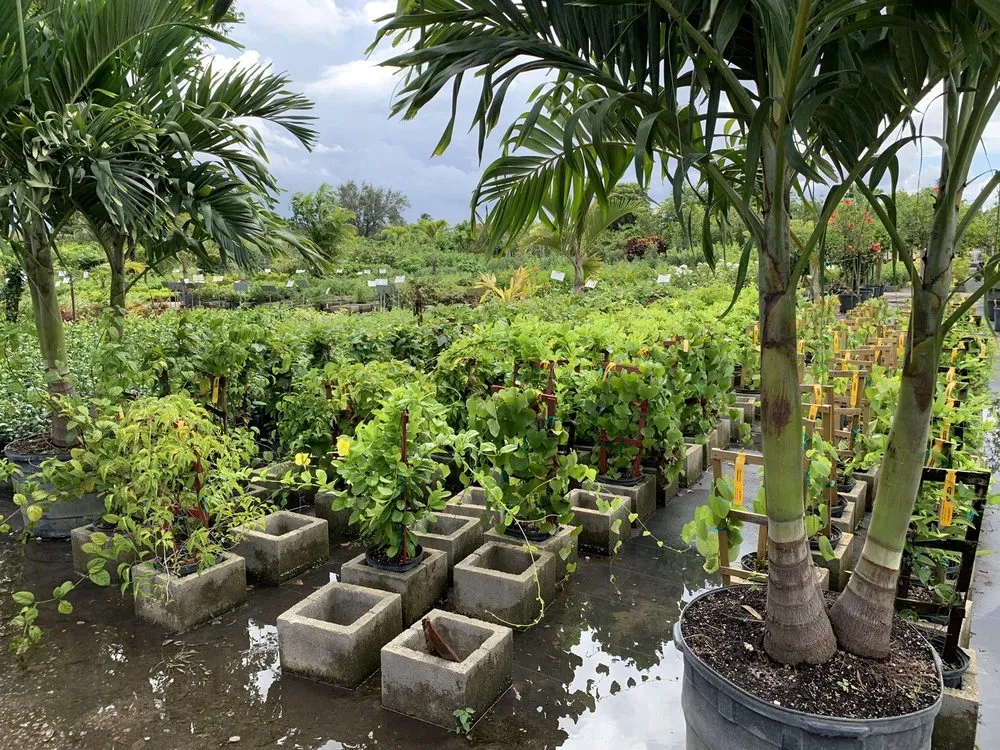 Reliable landscape design for year-round maintenance in Pompano Beach, FL by Nu Turf of Pompano Beach