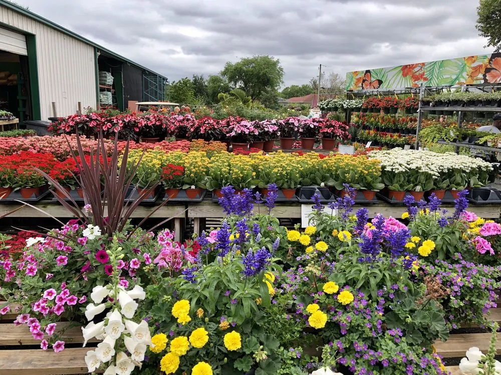 Professional landscape design for homes across Pompano Beach, FL - Nu Turf of Pompano Beach