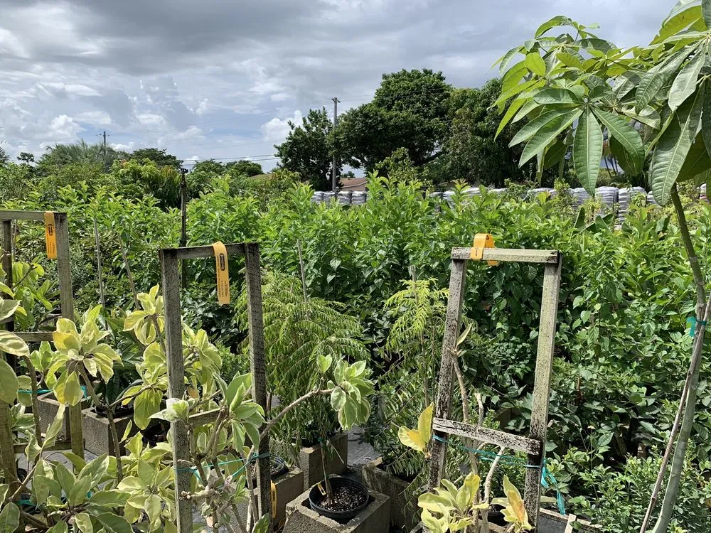 Trusted landscape installation for residential properties across Pompano Beach, FL - Nu Turf of Pompano Beach