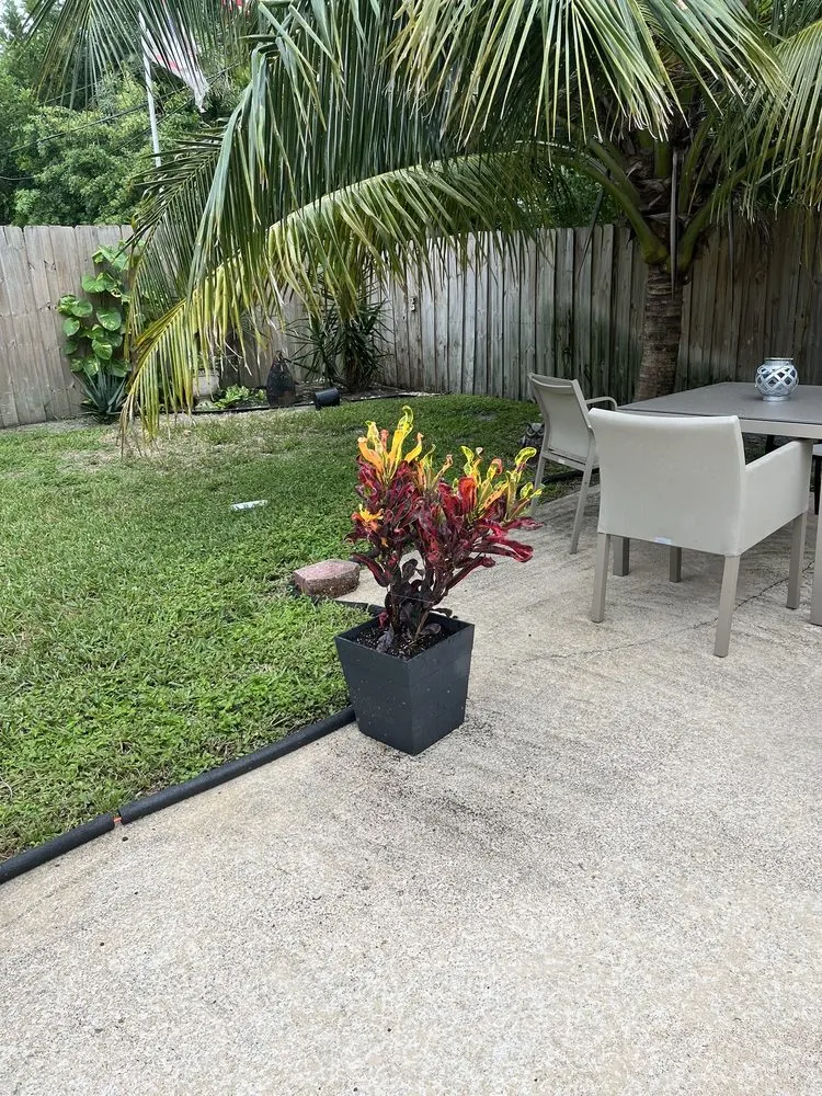 Local lawn mowing service in Pompano Beach, FL - Nu Turf of Pompano Beach