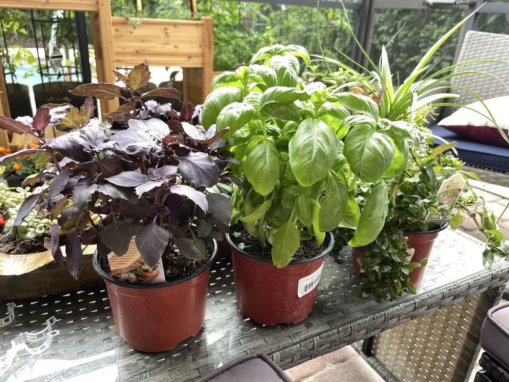 Local landscape installation experts serving Pompano Beach, FL - Nu Turf of Pompano Beach